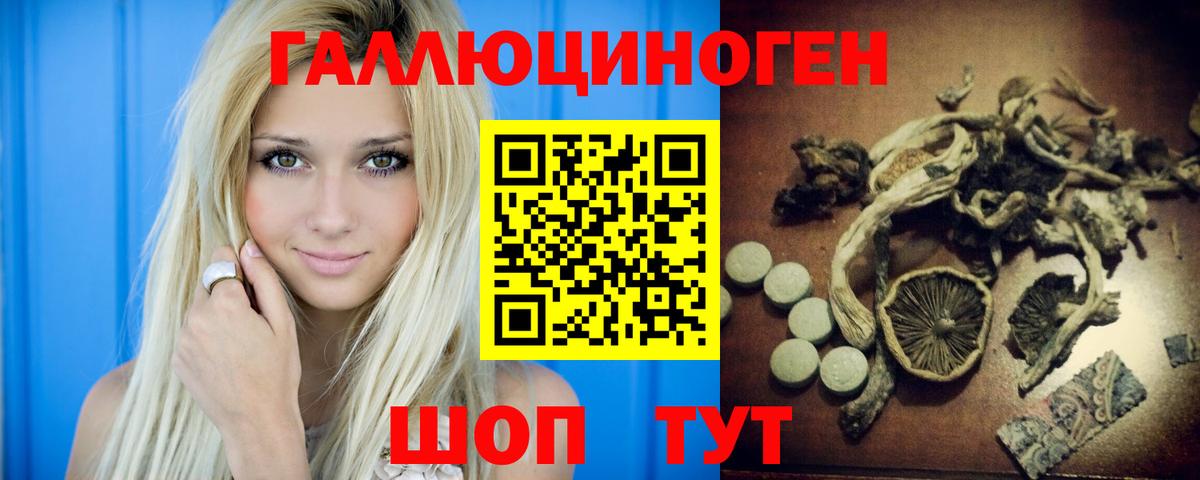 Галлюциногенные грибы ЛСД Курчалой
